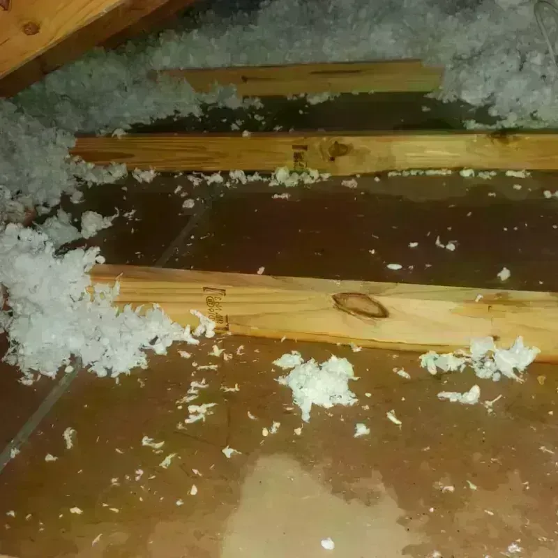 Attic Water Damage in Parkland, FL