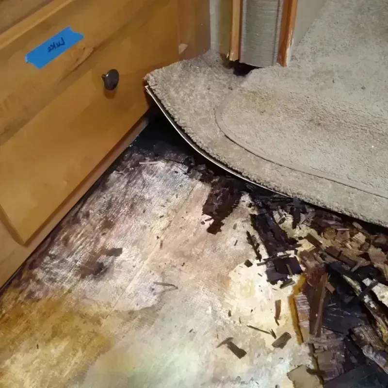 Wood Floor Water Damage in Parkland, FL